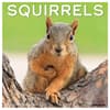image Squirrels 2025 Wall Calendar  Main Image