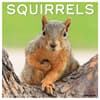 image Squirrels 2025 Wall Calendar  Main Image