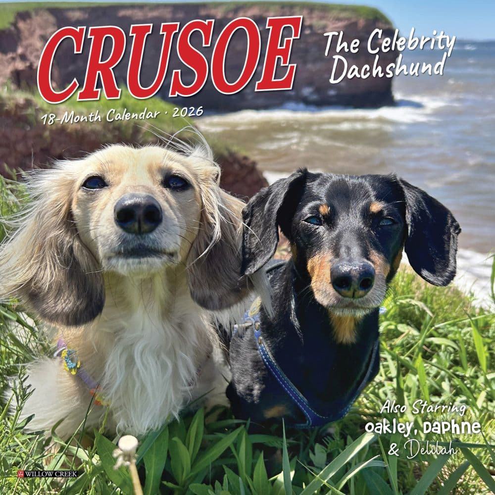 Crusoe the Celebrity Dachshund 2026 Mini Wall Calendar Main Image
