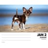 image Just Chihuahuas 2025 Desk Calendar Second Alternate Image