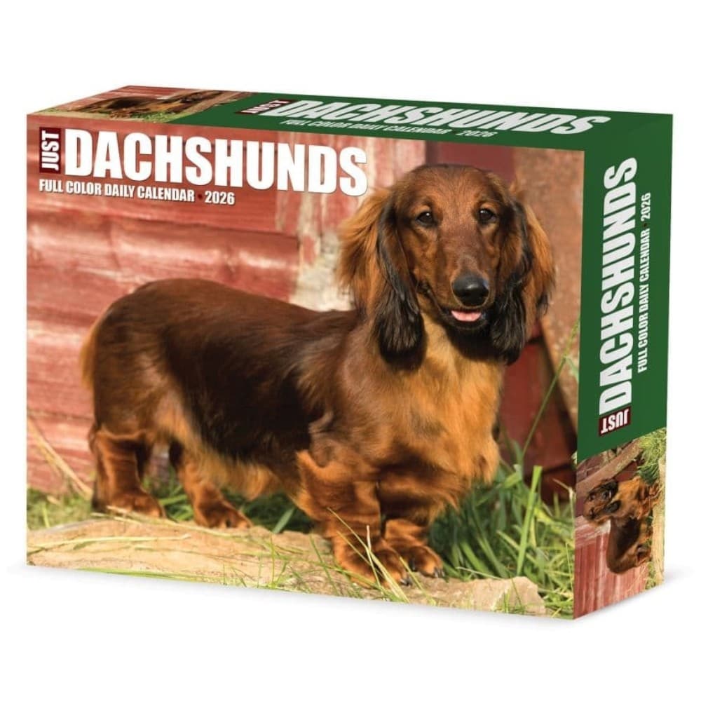 Just Dachshunds 2026 Desk Calendar Main Product Image