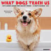 image Dogs What Dogs Teach Us 2024 Wall Calendar Main Image