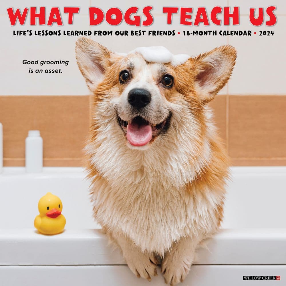 Dogs What Dogs Teach Us 2024 Wall Calendar Main Image