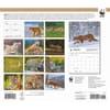 image Wild Cats WWF 2026 Wall Calendar First Alternate Image
