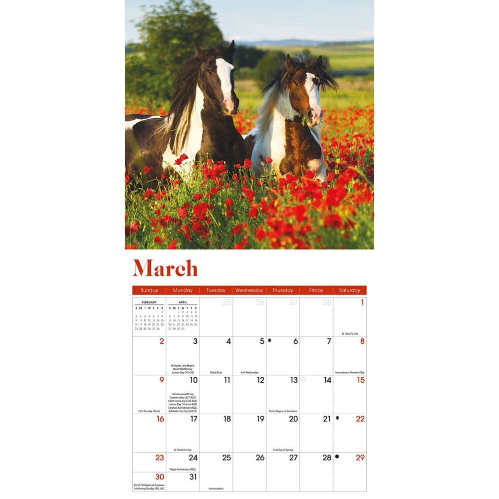 horses-2025-mini-wall-calendar-calendars-com