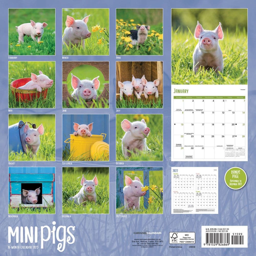 Pocket Pigs 2023 Wall Calendar - Calendars.com