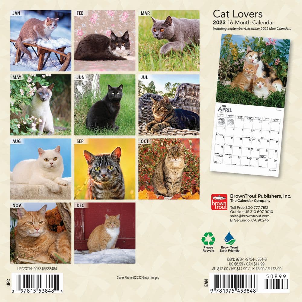 Cats 2023 Mini Wall Calendar - Calendars.com