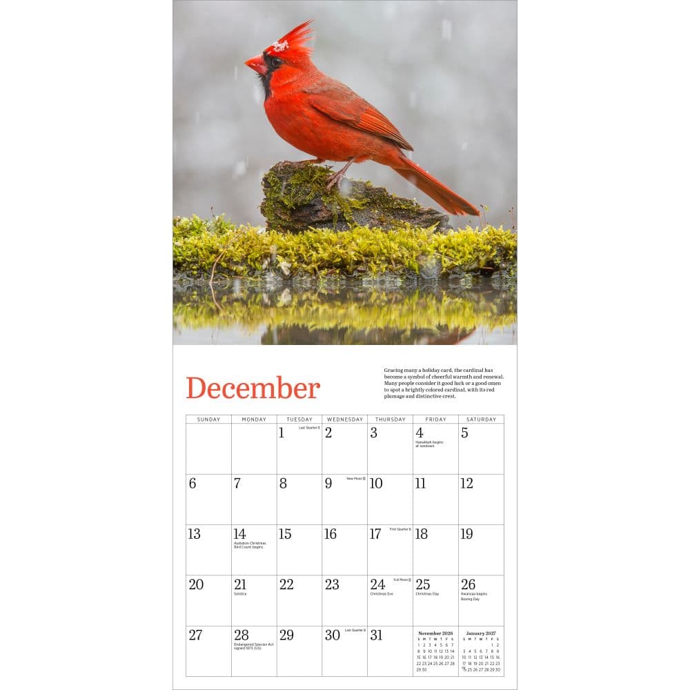 Audubon Cardinals 2026 Mini Wall Calendar Fourth Alternate Image