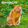 image Ginger Cats 2024 Wall Calendar Main Product Image width=&quot;1000&quot; height=&quot;1000&quot;
