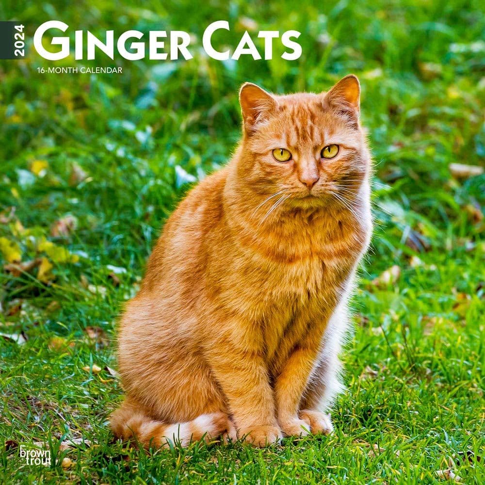 Ginger Cats 2024 Wall Calendar Main Product Image width=&quot;1000&quot; height=&quot;1000&quot;