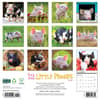 image 12 Little Piggies 2026 Wall Calendar First Alternate Image