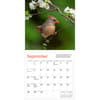 image Audubon Cardinals 2025 Mini Wall Calendar Second Alternate Image width="1000" height="1000"