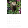 image Ferrets 2025 Wall Calendar Alt2