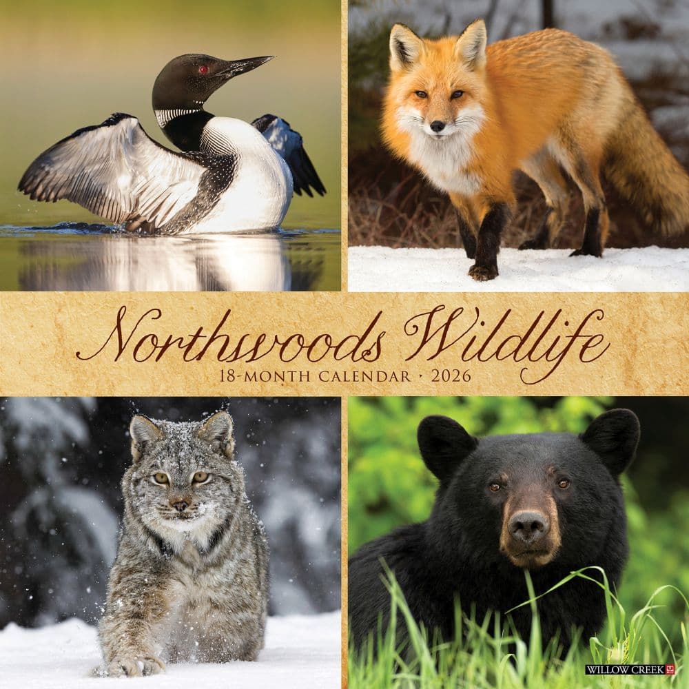 Northwoods Wildlife 2026 Wall Calendar Main Image