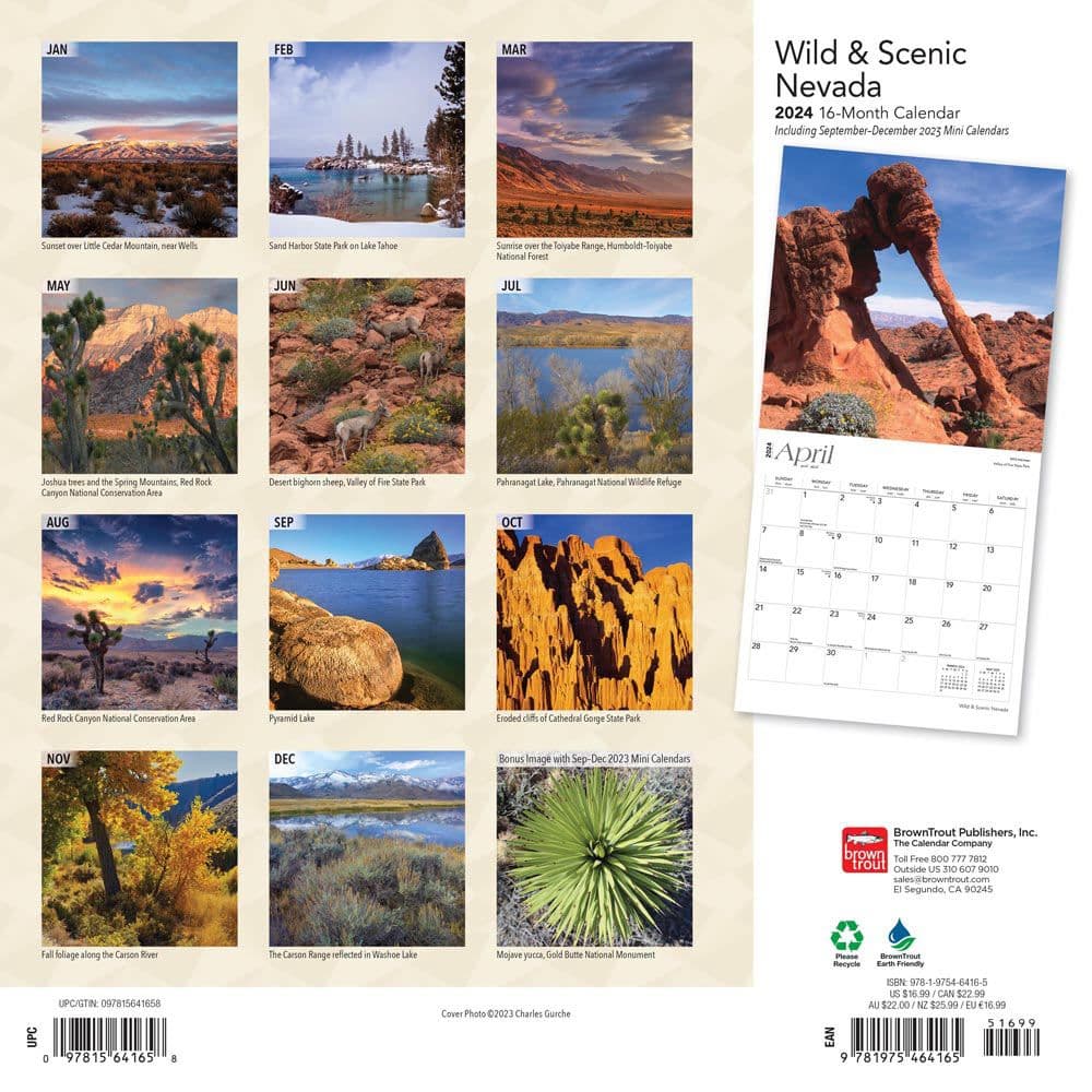 Nevada Wild and Scenic 2024 Wall Calendar