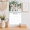 image Playful Puppies 2025 Wall Calendar