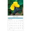 image Butterflies Photo 2027 Wall Calendar