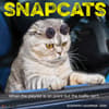 image Snapcats 2026 Wall Calendar Main Image