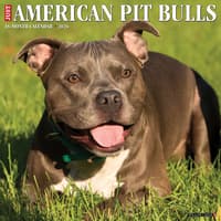 image Just American Pit Bulls 2026 Wall Calendar Main Image