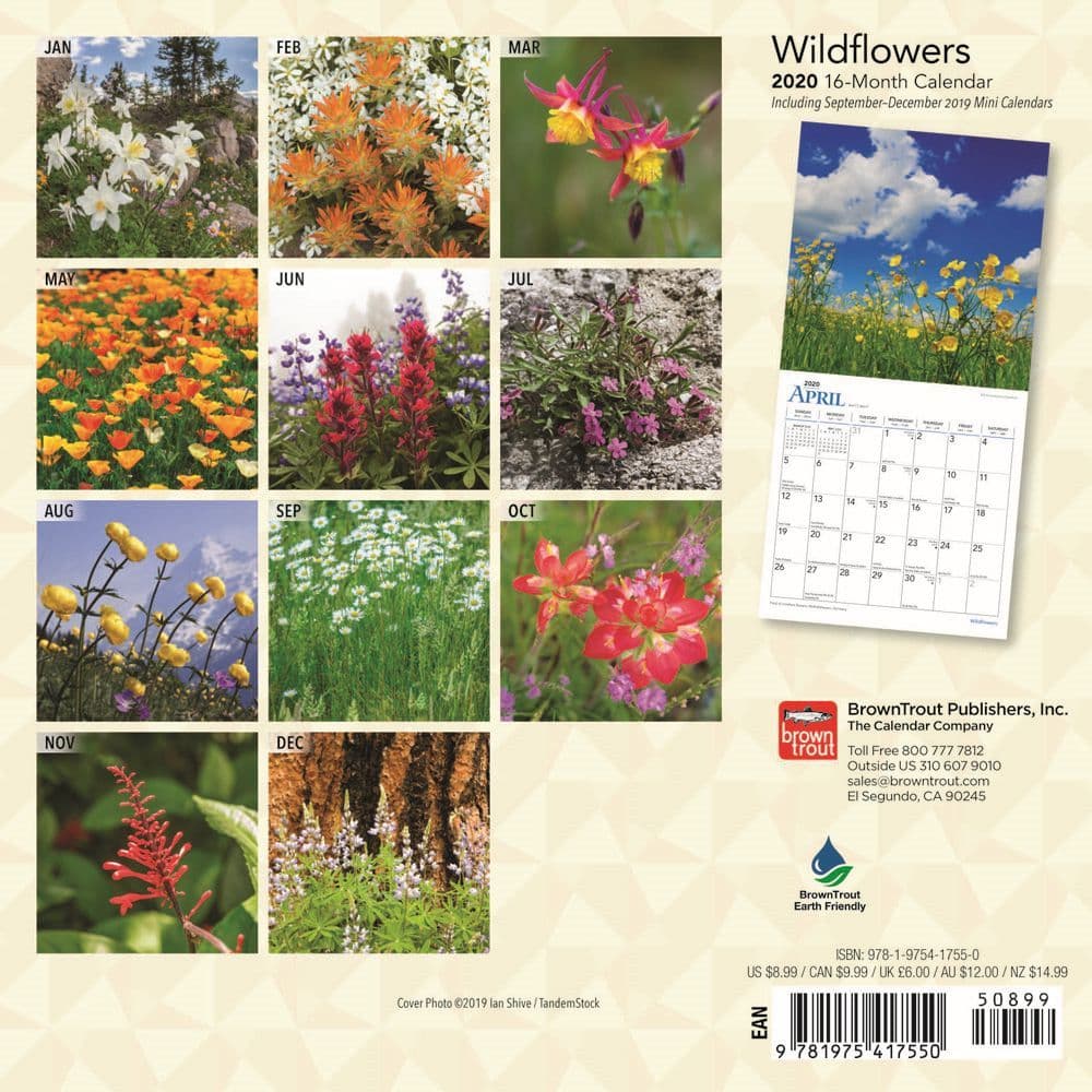 Wildflowers Mini Wall Calendar