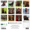 image Just Chocolate Labs 2025 Wall Calendar First Alternate Image width=&quot;1000&quot; height=&quot;1000&quot;