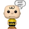 image Funko POP Peanuts Charlie Brown Good Grief Main Product Image