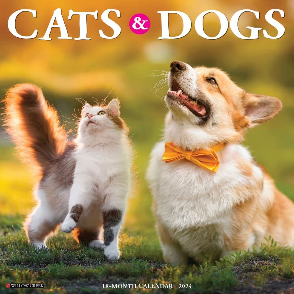 Cats & Dogs 2024 Wall Calendar - Calendars.com