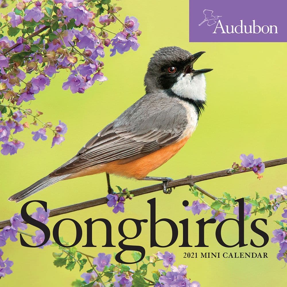 Audubon Sweet Songbirds Mini Wall Calendar