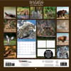 image Wildlife 2024 Wall Calendar First Alternate  Image width=&quot;1000&quot; height=&quot;1000&quot;