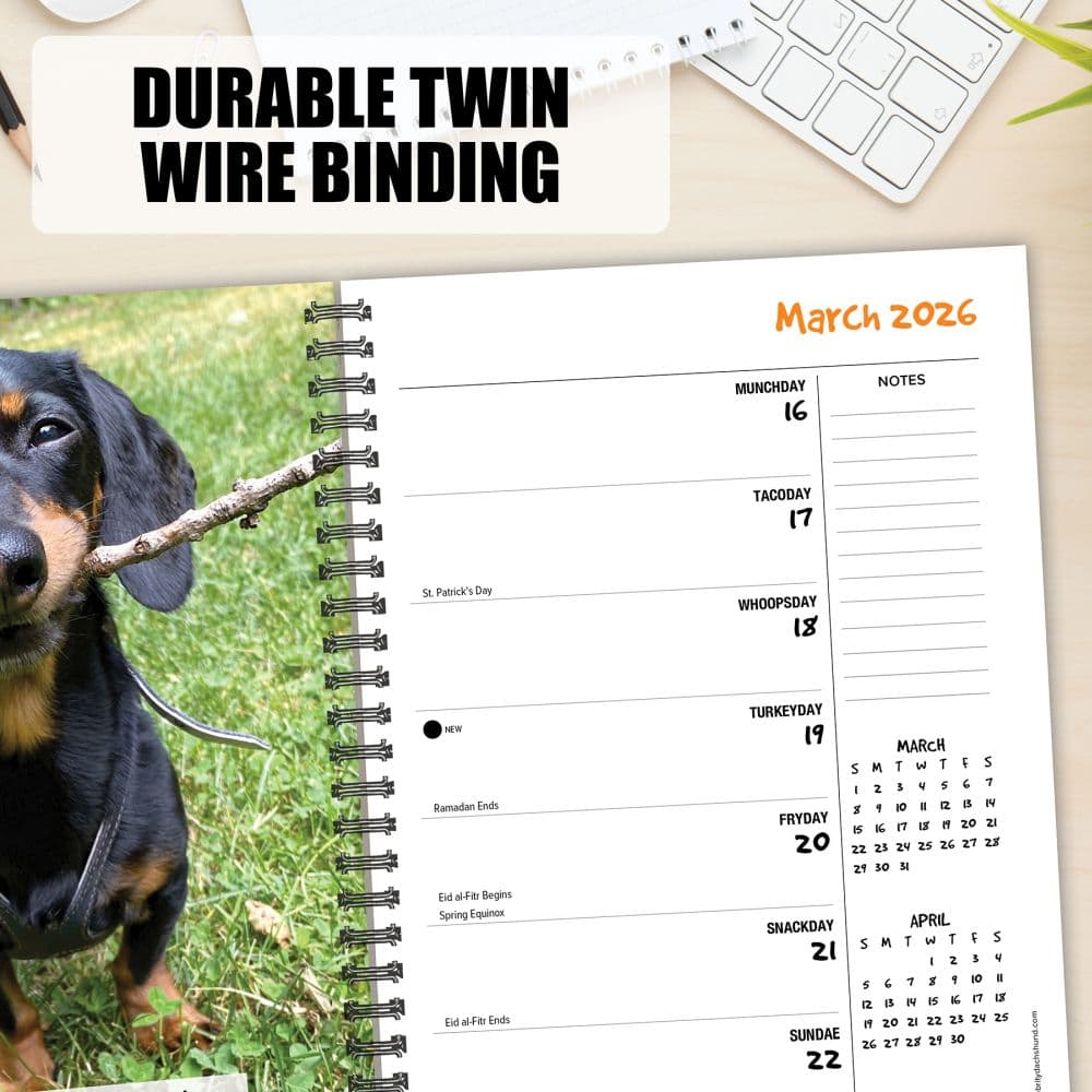 Crusoe The Celebrity Dachshund 2026 Engagement Planner Fourth Alternate Image