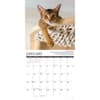 image Why Cats Do That 2026 Wall Calendar Second Alternate Image