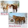 image Pasture Holiday Assorted Boxed Christmas Cards (18 pack) w/ Decorative Box by Persis Clayton Weirs Main Image