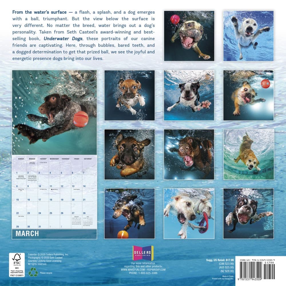 Underwater Dogs 2026 Wall Calendar First Alternate Image