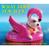 image What Dogs Teach Us 2026 Desk Calendar Fourth Alternate Image