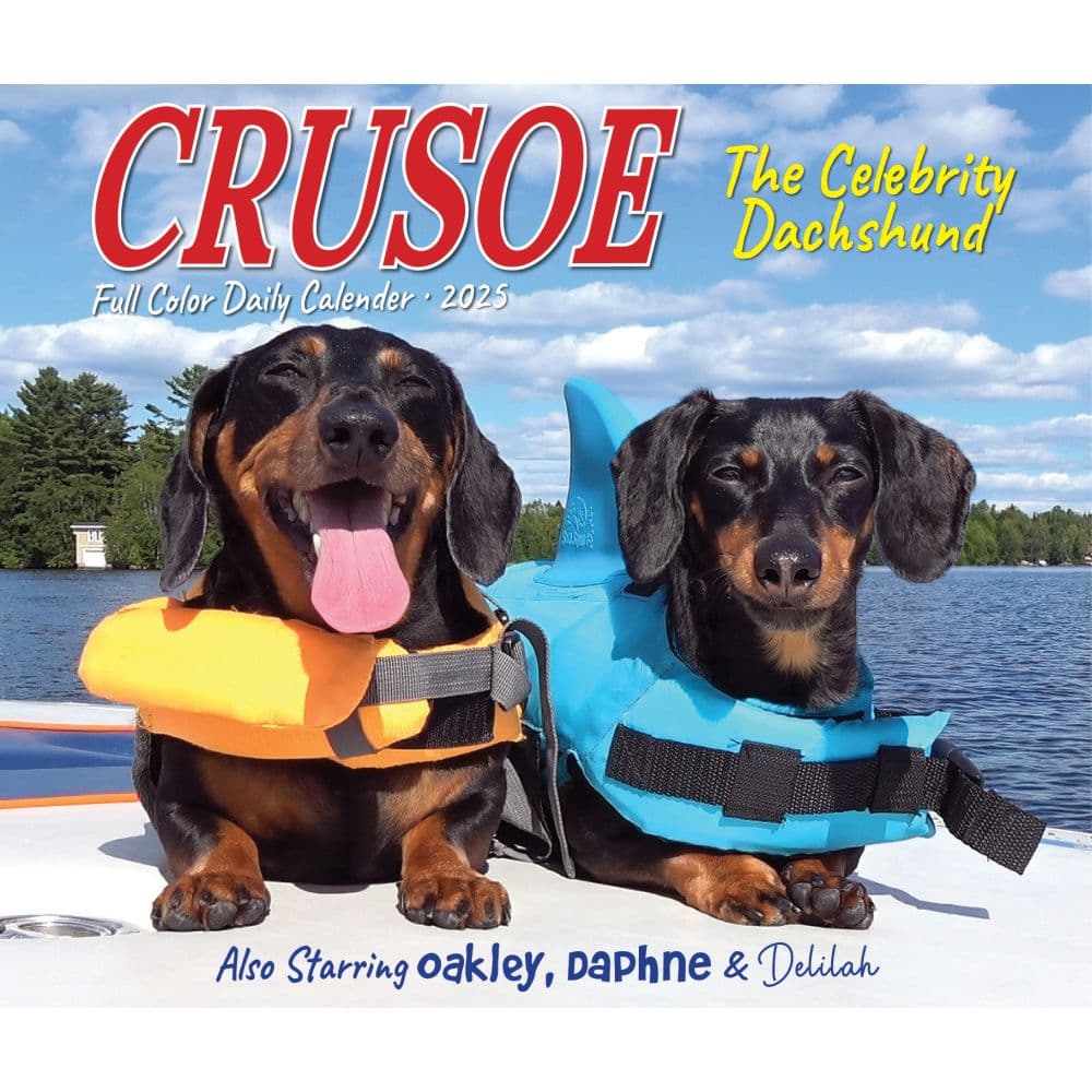 Crusoe the Celebrity Dachshund 2025 Desk Calendar