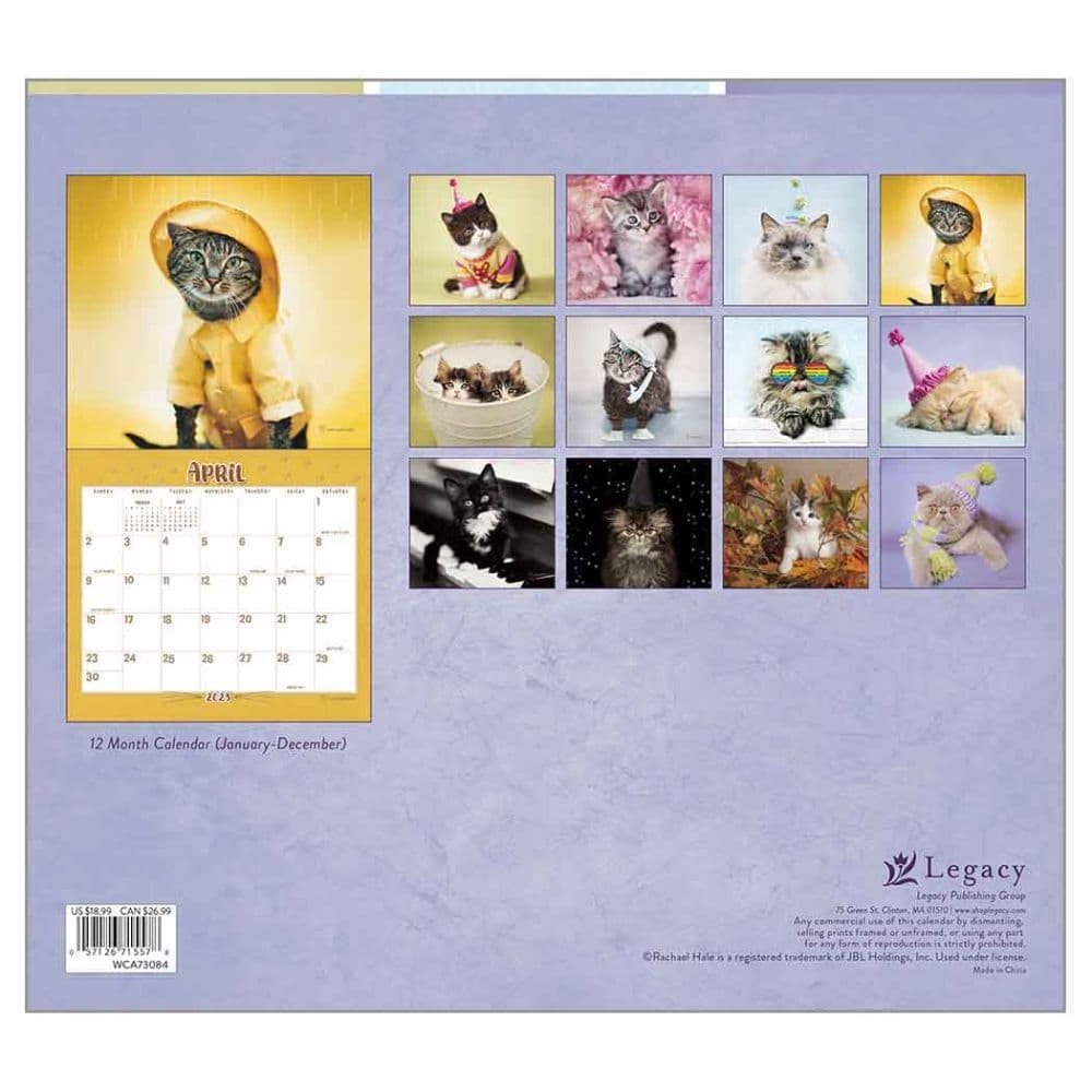 Cool 2023 Calendar Cool Cats 2023 Wall Calendar - Calendars.com