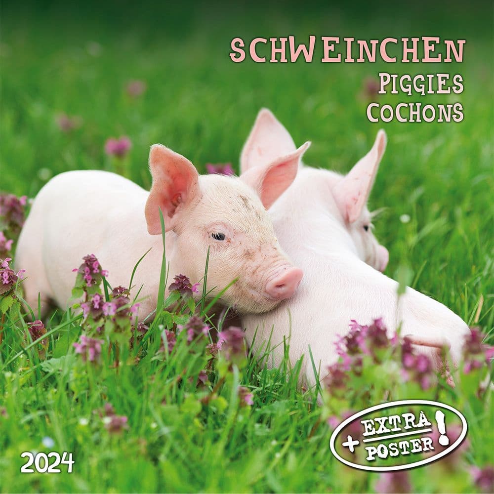 Piggies 2024 Wall Calendar Calendars Com   C27b1d86 Edb9 4ced B9b6 B381cc3c9ff0