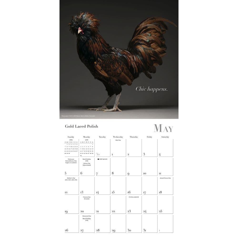 Glamour Chicks 2024 Mini Wall Calendar Alternate Image 3