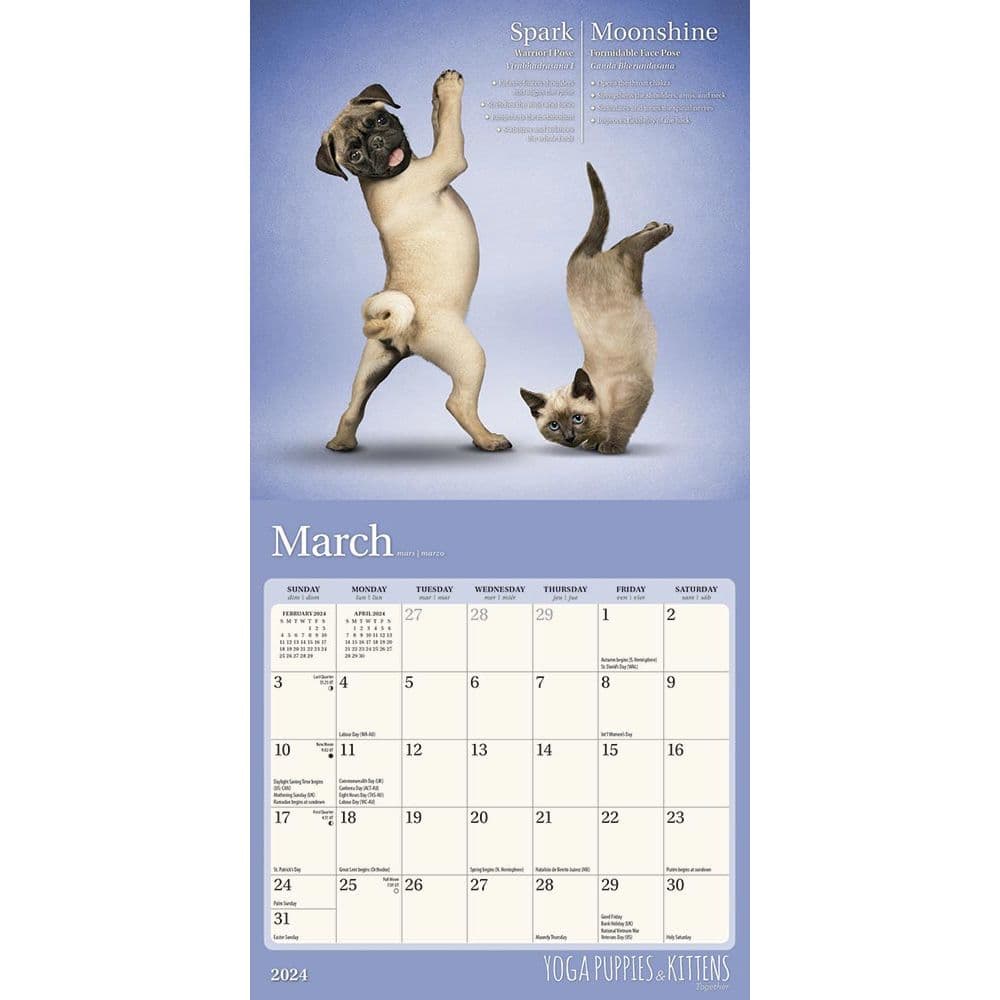 Yoga Puppies &amp; Kittens 2024 Mini Wall Calendar Second Alternate Image width=&quot;1000&quot; height=&quot;1000&quot;