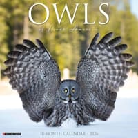 image Owls 2026 Wall Calendar  Main Image