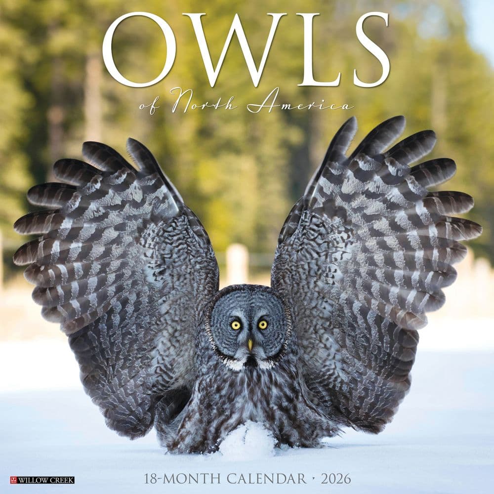 Owls 2026 Wall Calendar  Main Image