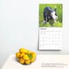 image Piglets 2025 Wall Calendar Fourth Alternate Image