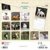 image Bull Terriers 2025 Wall Calendar First Alternate Image