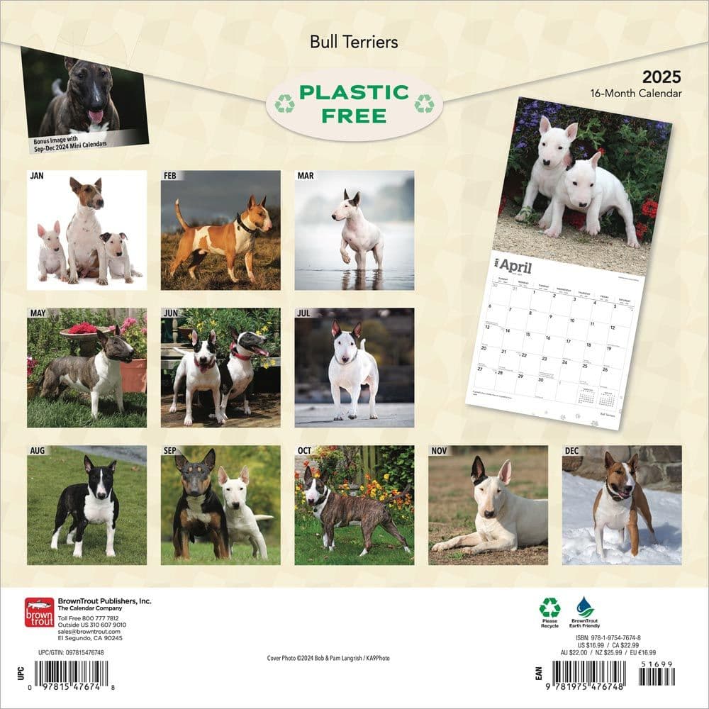 Bull Terriers 2025 Wall Calendar First Alternate Image