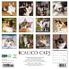image Calico Cats 2025 Wall Calendar First Alternate Image width="1000" height="1000"