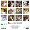 image Calico Cats 2025 Wall Calendar First Alternate Image width=&quot;1000&quot; height=&quot;1000&quot;