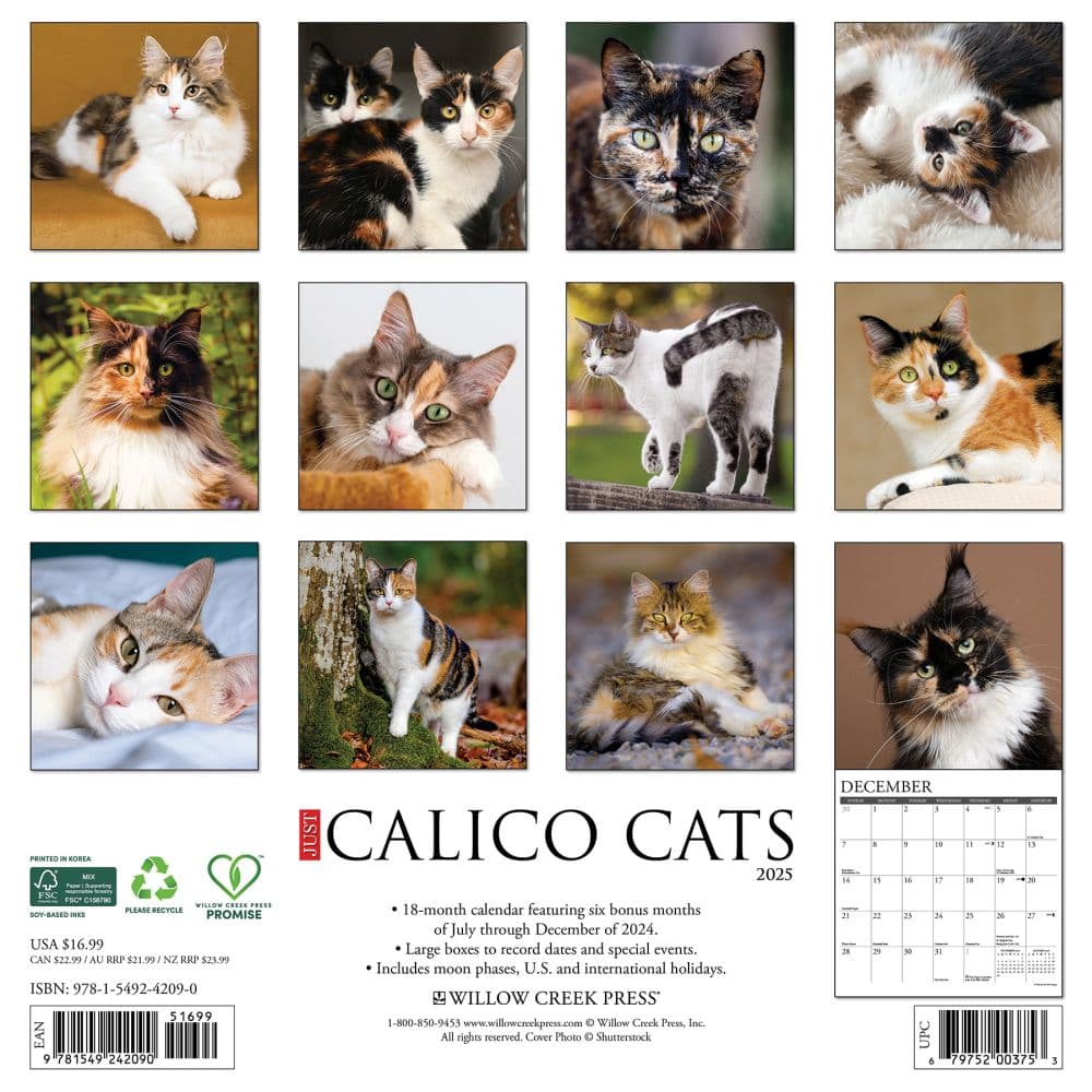Calico Cats 2025 Wall Calendar First Alternate Image width="1000" height="1000"