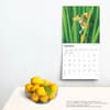 image Frogs 2025 Wall Calendar Fourth Alternate Image width=&quot;1000&quot; height=&quot;1000&quot;