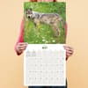 image Wolves 2025 Wall Calendar Fourth Alternate Image