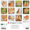 image Ginger Cats 2025 Wall Calendar First Alternate Image width=&quot;1000&quot; height=&quot;1000&quot;